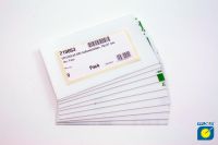 Außenscheibe für APC, 73 x 117 mm, 10er Pack, WKS Produktion