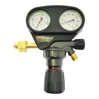 Flaschendruckminderer ProControl, Brenngase/ Formiergase, 200 bar, 0 - 10 bar